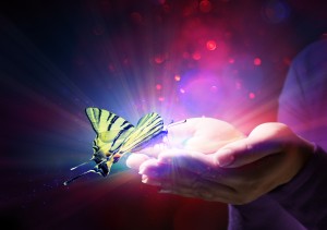 butterfly in hands - fairytale and trust